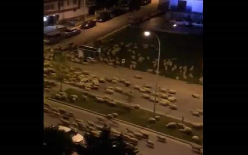 هجوم شبانه مهمانان ناخوانده به شهری در ترکیه
