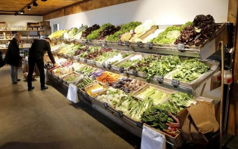 کاهش قیمت جهانی مواد غذایی بخاطر کرونا