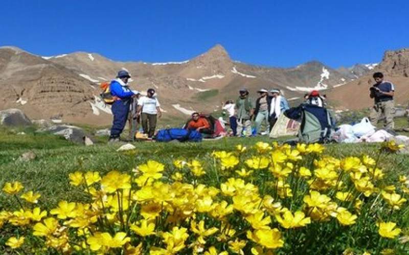 حال گیاهان کوهستانی خوب نیست