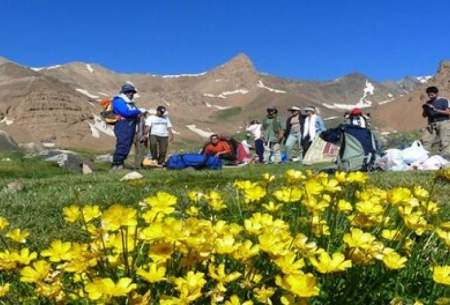 حال گیاهان کوهستانی خوب نیست