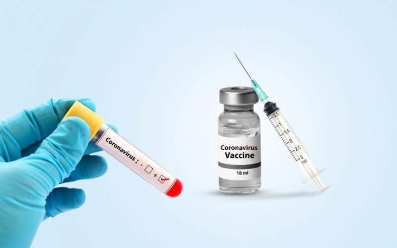 تست موفق واکسن کرونای آلمانی روی حیوانات