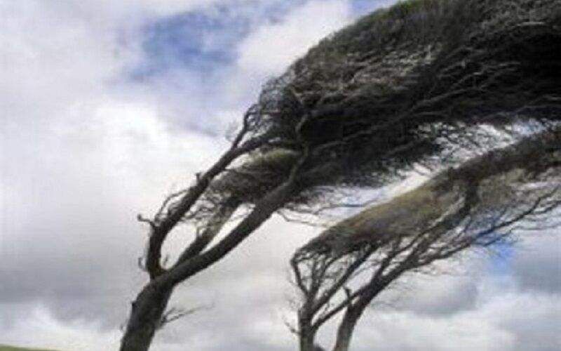 وزش باد شدید در تهران از ظهر امروز
