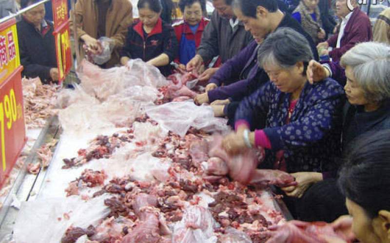 خوردن گوشت حیوانات وحشی در چین ممنوع شد