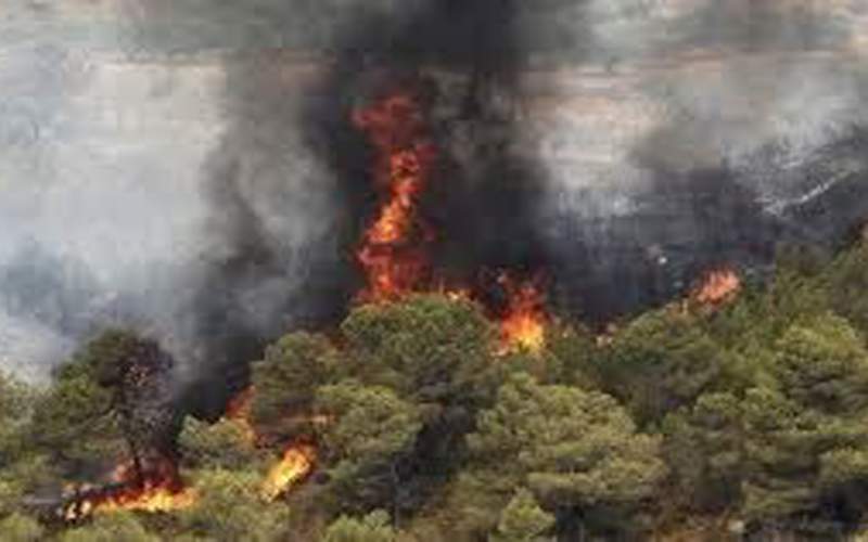 کابوس آتش‌سوزی جنگل‌ها در لرستان