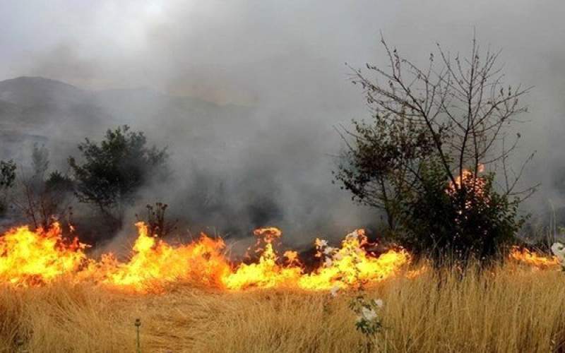 دلیل آتش‌سوزی پارک چیتگر اعلام شد