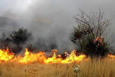 دلیل آتش‌سوزی پارک چیتگر اعلام شد
