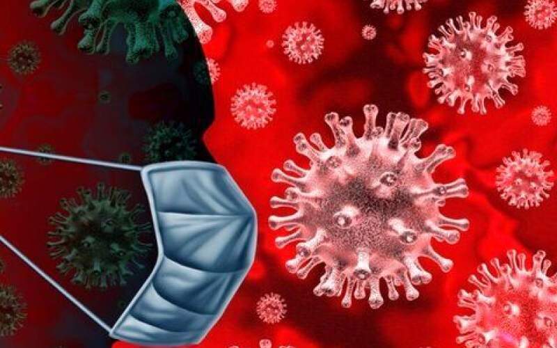 بزرگترین منبع ویروس کرونا شناسایی شد