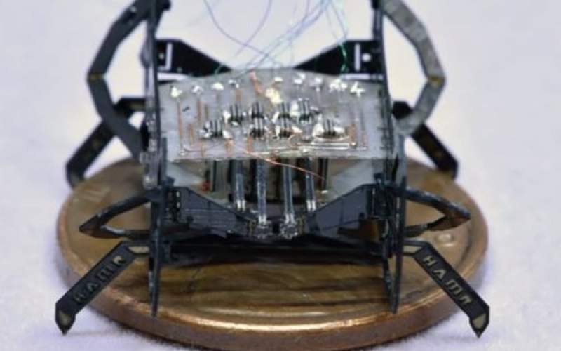 کوچک‌ترین و سریع‌ترین ربات جهان ساخته شد