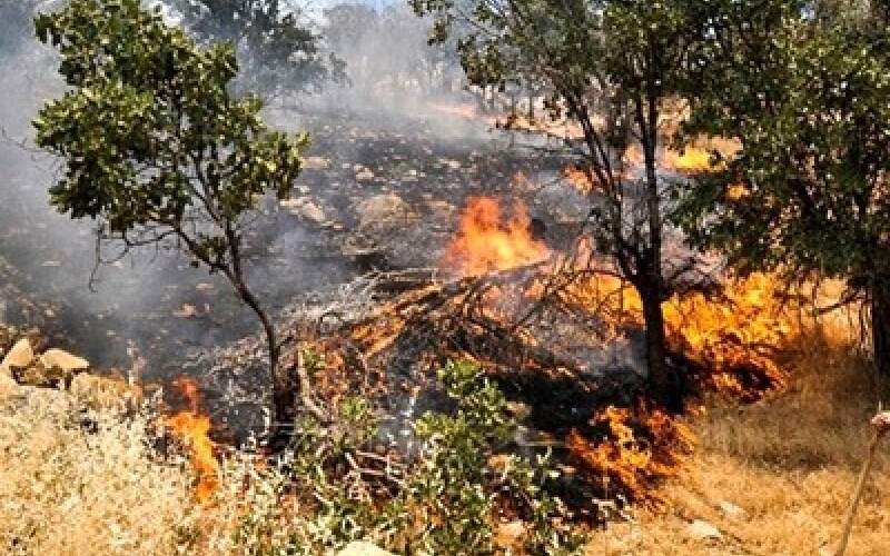 ۲۱۳ هکتار از اراضی قزوین در آتش سوخت