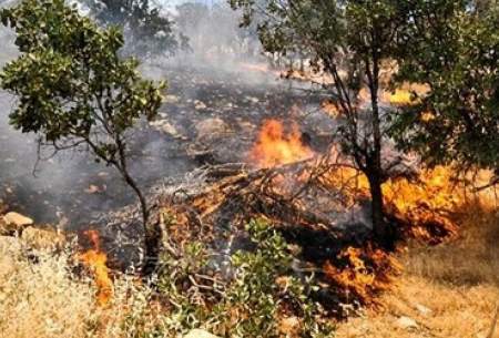 ۲۱۳ هکتار از اراضی قزوین در آتش سوخت