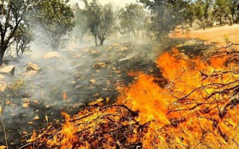 جنگل‌های بلوط ایذه، همچنان در آتش می‌سوزند