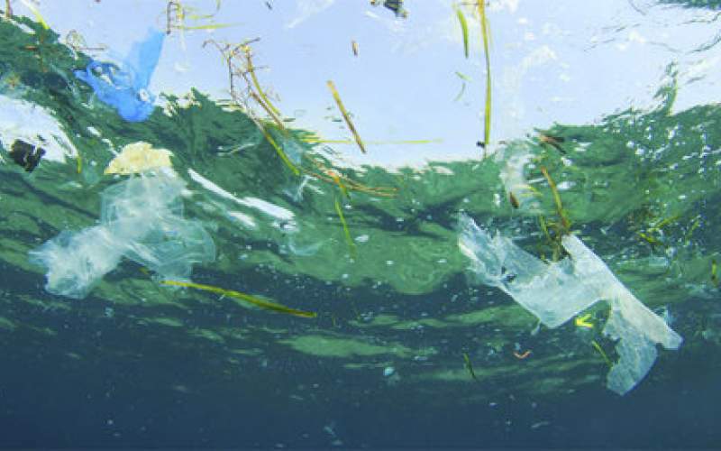 زباله‌های رها شده در دریاها بلای جان آبزیان