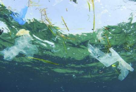 زباله‌های رها شده در دریاها بلای جان آبزیان