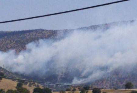 آتش سوزی شدید در جنگل‌ها و مراتع "تمنک"دنا
