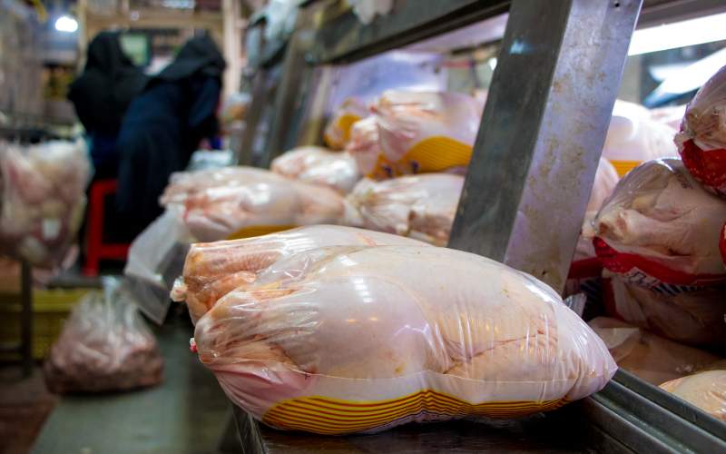 قیمت مرغ به ۱۲ هزار تومان کاهش یافت
