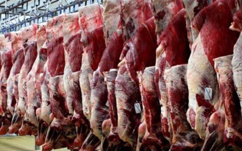 افزایش قیمت گوشت در بازاربه رغم انفجار تولید