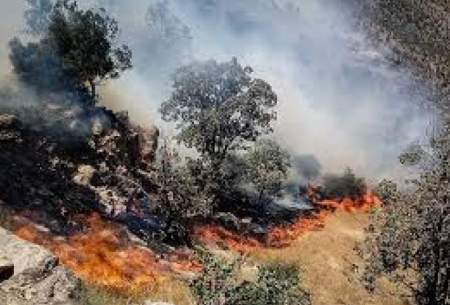 تاثیر تغییرات اقلیمی بر آتش‌سوزی‌های جنگلی