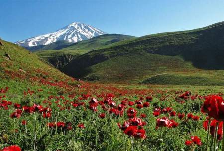 ایرانِ ما؛ دشت لار  <img src="https://cdn.baharnews.ir/images/picture_icon.gif" width="16" height="13" border="0" align="top">