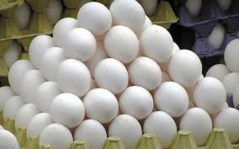 قیمت تخم‌مرغ در بازار همچنان بالاست