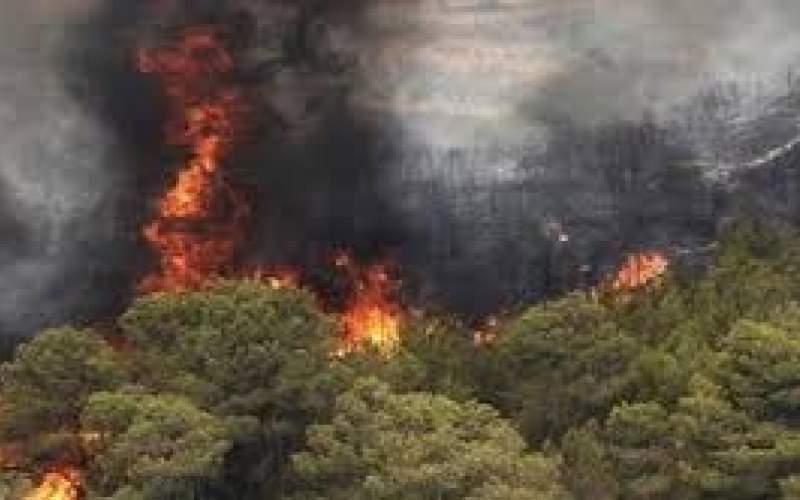 آتش سوزی گسترده در جنگل‌های بویراحمد