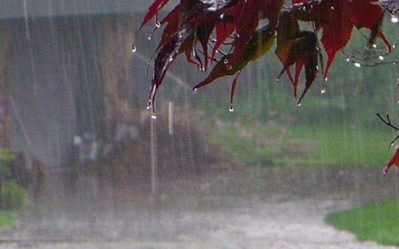 پیش بینی بارش باران در برخی از مناطق کشور