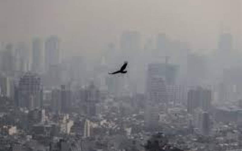 اثر کوتاه‌مدت آلودگی هوا بر مرگ‌ومیر