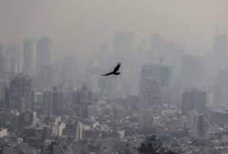 اثر کوتاه‌مدت آلودگی هوا بر مرگ‌ومیر
