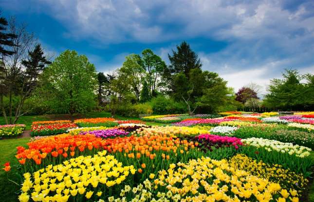 باغ لانگ وود (میدان کنت، پنسیلوانیا آمریکا)