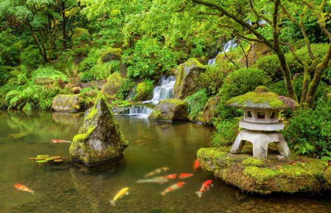 باغ ژاپنی پورتلند (پورتلند، اورگان، آمریکا)