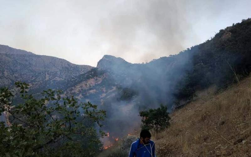 مهار آتش سوزی جنگل‌های "شلالدون" باشت