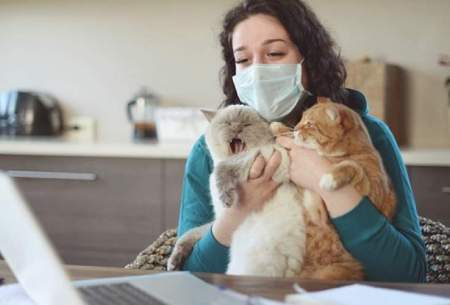 حیوانات خانگی ناقل ویروس کرونا نیستند