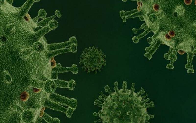۶ واقعیت تازه درباره ویروس کرونا