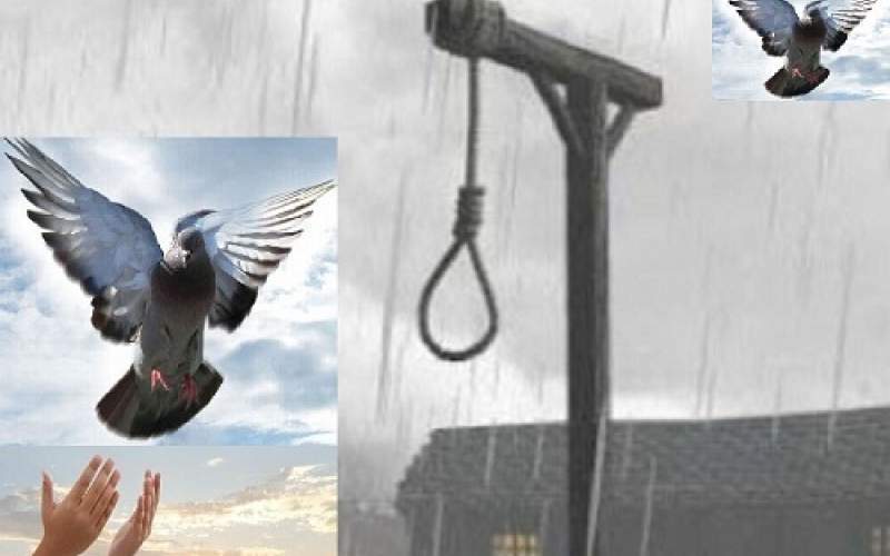بخشش یک اعدامی در یزد پس از ۱۲ سال