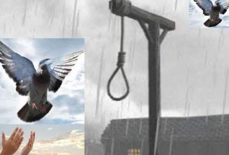 بخشش یک اعدامی در یزد پس از ۱۲ سال