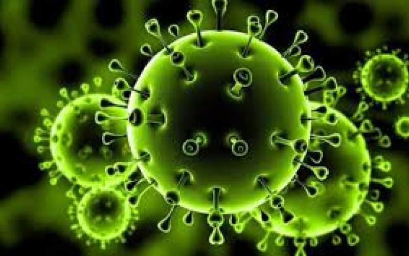باورهای غلط درباره ویروس کرونا