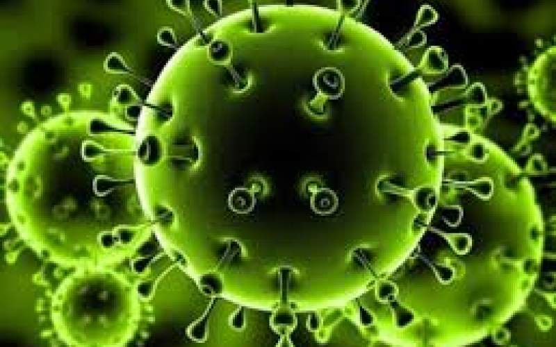 ۸۰درصداز ناقلان ویروس کرونا بدون علائم هستند
