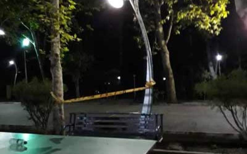 مرگ تلخ نوجوان ۱۴ساله در پارک لاله تهران