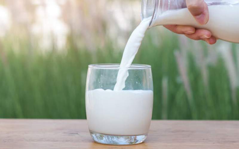 پیشنهاد ستاد تنظیم بازار برای تعادل بازار شیر