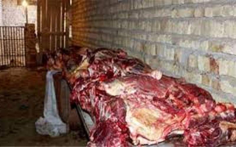 یکسال زندان برای فروشنده گوشت الاغ