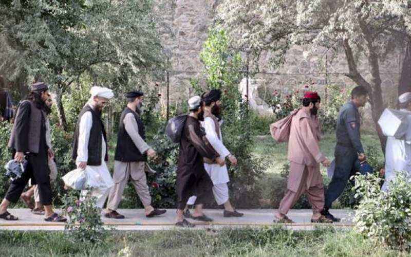 آزادی ۸۰ عضو خطرناک طالبان از زندان