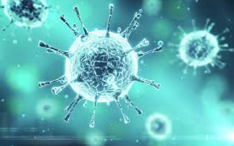 ۵ ویروسی که از کرونا خطرناک‌تر هستند