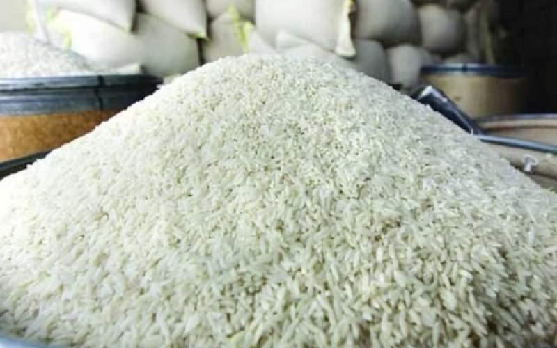 واردات برنج از اول شهریور ممنوع می‌شود