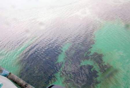 زباله و آلودگی نفتی بلای جان خلیج فارس