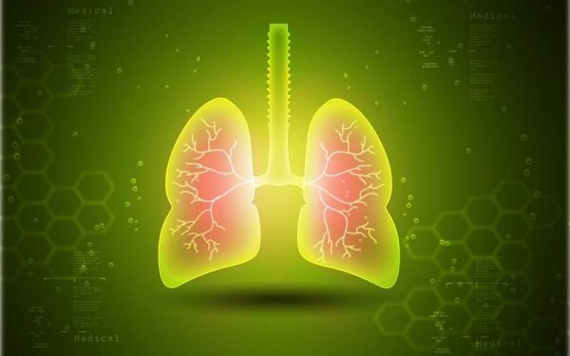 کشف یک پروتئین جدید در ریه برای درمان آسم