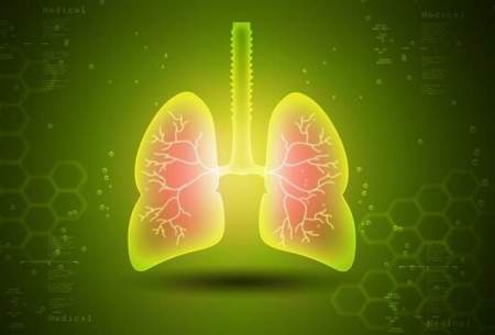 کشف یک پروتئین جدید در ریه برای درمان آسم