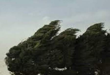 باد شدید در 10 استان از امشب