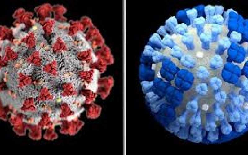 انواع آنفلوآنزا در پاییز و تفاوت آن با کرونا