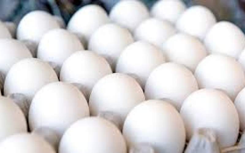 اختلاف قیمت مصوب تخم‌مرغ با فروشگاه‌ها
