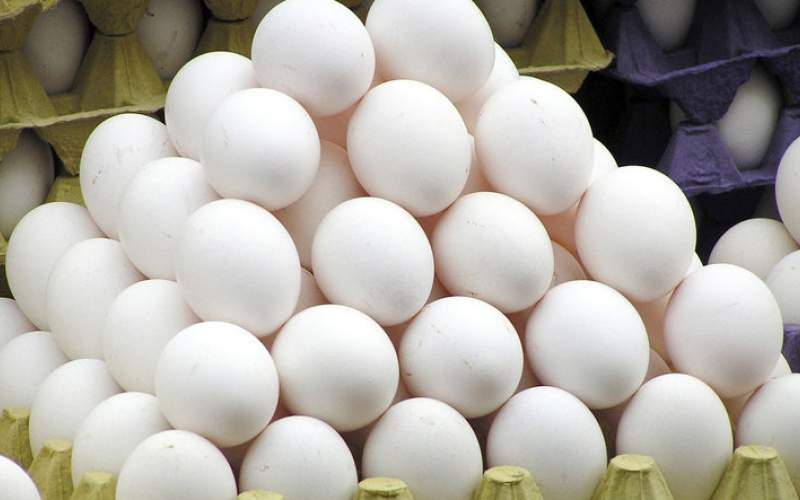 تخم مرغ رکورد زد؛هرشانه ۳۸ هزار تومان