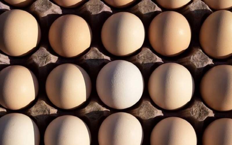 آشفتگی بازار تخم مرغ تا کی ادامه دارد؟